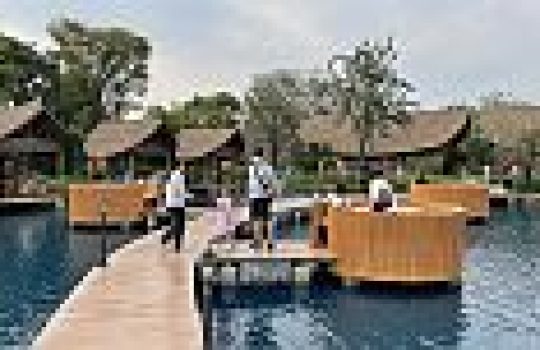 מסעדת:    BUBBLE IN THE Forest2